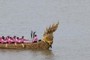 Royal Barge