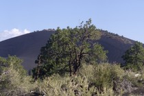 238724-210x140