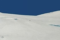 238763-210x140