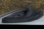 ...A shoe?