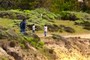Nature tourists