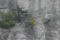 238986-210x140