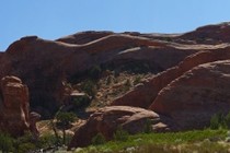 239002-210x140