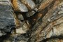 Brittle Fault