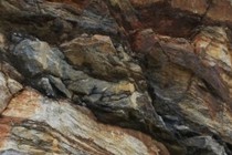 239402-210x140