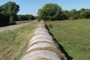 The hay