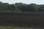 The plowed prairie