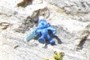 Handy Smurf