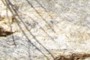 Feldspars