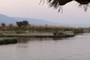 Hippo Heaven