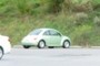 cybergreen newbeetle