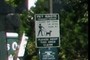 Pet Waste