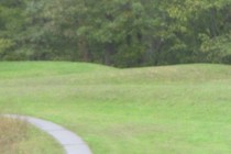 239930-210x140