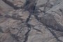 Xenolith-bearing mafic dike