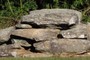 Grave