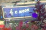 C MOON