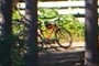 Lake Bike