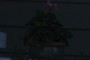 Potted Plant