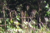240512-210x140