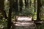 Boardwalk