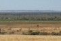 These channels are fed by flood waters from hundreds of kilometers/miles to the North and this water usually arrives three to six months after it has fallen.