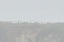 240683-210x140