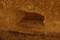 240939-210x140