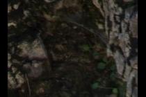 24978-210x140