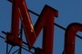 "M"