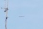 air plane or ufo