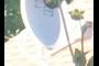 Parabolic antenna