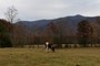 Cades Cove