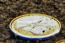 241788-210x140