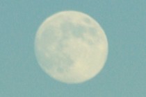 241836-210x140