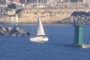 velero