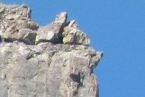 242065-210x140