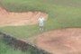 Missed the sand trap