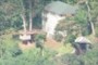 tree fort