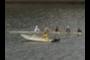 Rowing Club