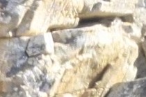 242666-210x140
