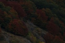 242945-210x140