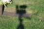 Tripod