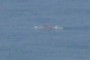One man Canoe