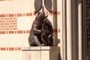 Bear Market 