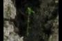 Tiny plant