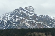 243988-210x140