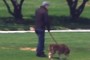 Walking a dog