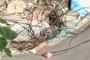 junk