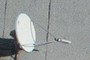 A dish