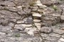 Mud cracks!